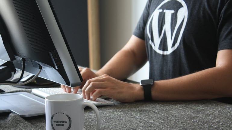 WordPress Website Translation